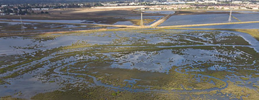 A view of the beach from above.