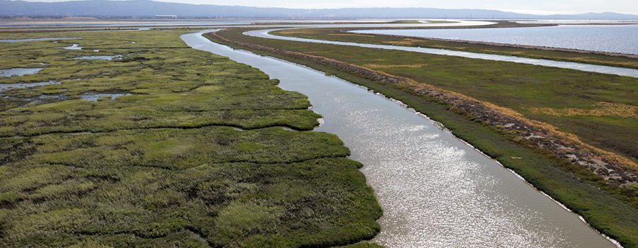 A river with green grass on it's side.