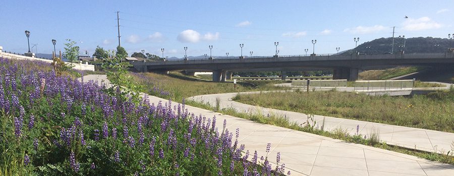 A road with purple flowers and a bridge in the background.